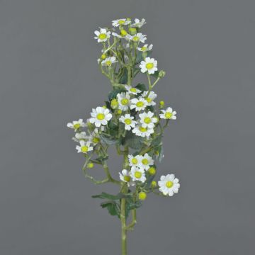 Fake flower feverfew FEMKE, white, 24"/60cm, Ø 0.6"-0.8"/1,5-2cm