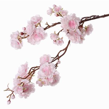 Decorative branch Japanese ornamental cherry RUKIA, flowering, light pink, 3ft/90cm Decorative branch Japanese ornamental cherry RUKIA, flowering, light pink, 3ft/90cm