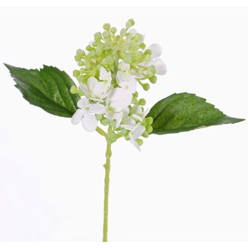 Fake flower hydrangea CHABY, white-green, 12"/30cm, Ø 3.5"/9cm Fake flower hydrangea CHABY, white-green, 12"/30cm, Ø 3.5"/9cm