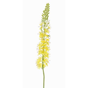 Artificial flower giant desert candle SELINA, yellow, 3ft/105cm, Ø 3.5"/9cm Artificial flower giant desert candle SELINA, yellow, 3ft/105cm, Ø 3.5"/9cm