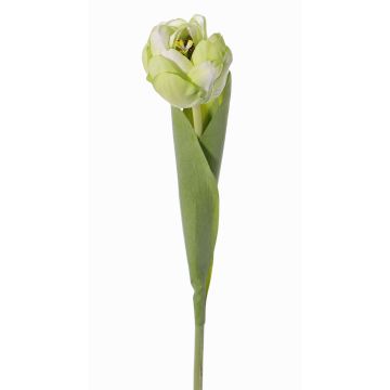 Artificial tulip flower ROMANA, green-white, 18"/45cm, Ø 2.4"/6cm Artificial tulip flower ROMANA, green-white, 18"/45cm, Ø 2.4"/6cm