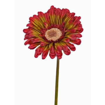 Fake Gerbera ANNEMARIE, red-green, 20"/50cm, Ø3.9"/10cm