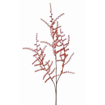 Decorative Asparagus acutifolius branch HANS, orange, 28"/70cm Decorative Asparagus acutifolius branch HANS, orange, 28"/70cm