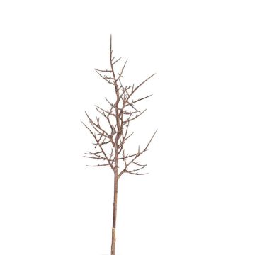 Plastic christ thorn branch OTTO, brown, 30"/75cm Plastic christ thorn branch OTTO, brown, 30"/75cm