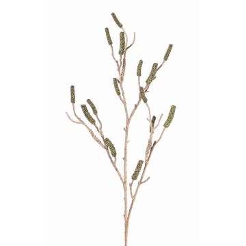 Decorative Callistemon branch SIRIUS with fruits, green, 4ft/120cm