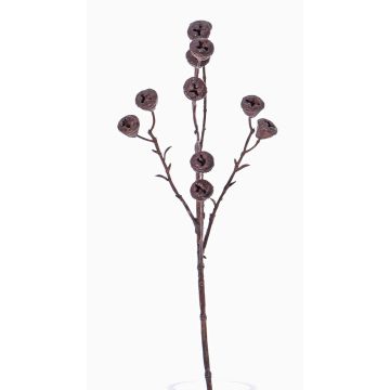 Decorative eucalyptus spray BASILIUS with fruits, brown, 24"/60cm