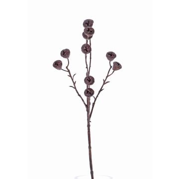 Decorative eucalyptus spray BASILIUS with fruits, brown, 24"/60cm Decorative eucalyptus spray BASILIUS with fruits, brown, 24"/60cm