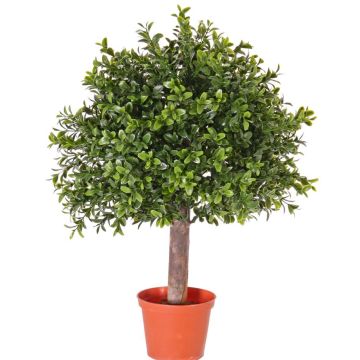 Decorative boxwood TOM, real trunk, crossdoor, 18"/45cm, Ø 12"/30cm
