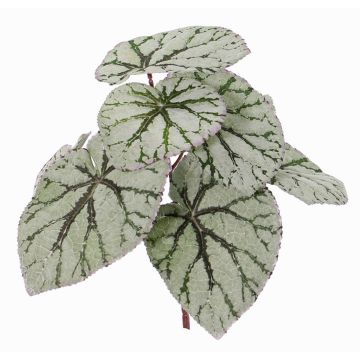 Artificial begonia rex KATRICE, spike, green-grey, 10"/25cm Artificial begonia rex KATRICE, spike, green-grey, 10"/25cm