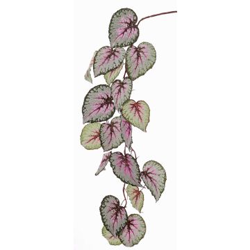 Decorative begonia rex spray KATRICE, violet-green, 4ft/110cm Decorative begonia rex spray KATRICE, violet-green, 4ft/110cm