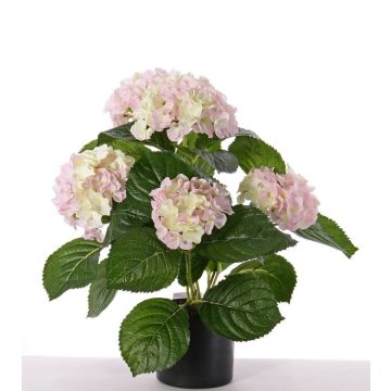 Textile flower hydrangea TEMARI, white-pink, 14"/35cm, Ø 3.9"-4.7"/10-12cm