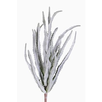 Decorative Euphorbia trigona REESE on spike, grey-green, 12"/30cm, Ø8"/20cm