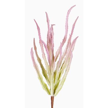 Decorative Euphorbia trigona REESE on spike, pink-green, 12"/30cm, Ø8"/20cm Decorative Euphorbia trigona REESE on spike, pink-green, 12"/30cm, Ø8"/20cm