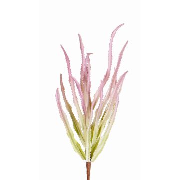 Decorative Euphorbia trigona REESE on spike, pink-green, 12"/30cm, Ø 8"/20cm Decorative Euphorbia trigona REESE on spike, pink-green, 12"/30cm, Ø 8"/20cm