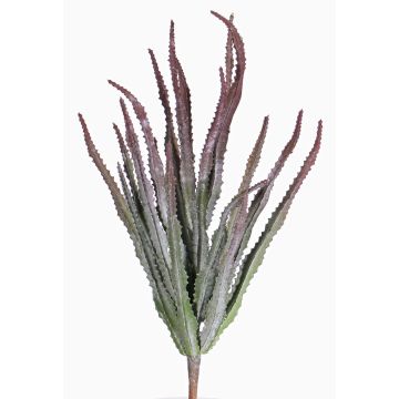 Decorative Euphorbia trigona REESE on spike, red-green, 12"/30cm, Ø8"/20cm