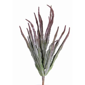 Decorative Euphorbia trigona REESE on spike, red-green, 12"/30cm, Ø 8"/20cm