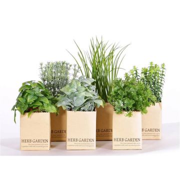 Artificial kitchen herbs CHUCK in paper pots, 6 pieces, green, 15–25 cm