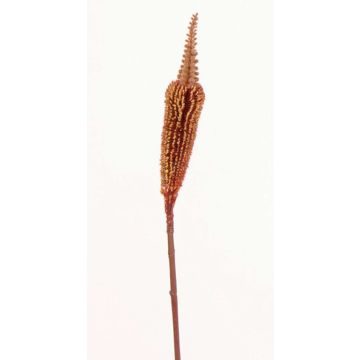 Artificial Bulbinella TALUNA, brown-red, 26"/65cm, Ø1.6"/4cm