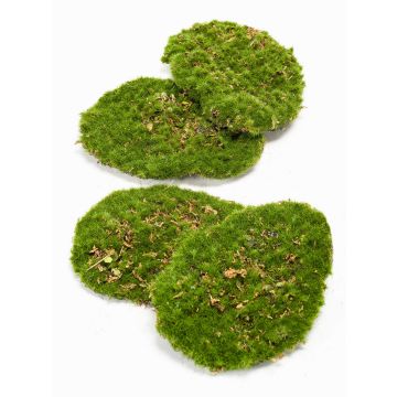 Artificial moss pieces HEFEI, 4 pieces, green, 4.3"x5.9"x2"/11x15x5cm Artificial moss pieces HEFEI, 4 pieces, green, 4.3"x5.9"x2"/11x15x5cm