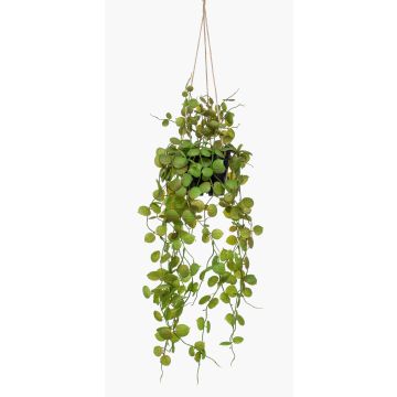 Decorative candelabra flower hanging basket BOLTEN, green, 20"/50cm