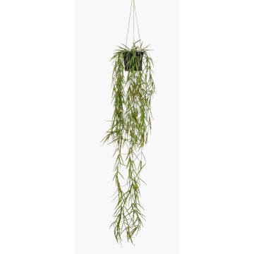 Decorative coral cactus hanging basket BOLTEN, green, 31"/80cm