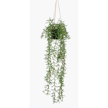 Decorative Senecio hanging basket BOLTEN, green, 28"/70cm