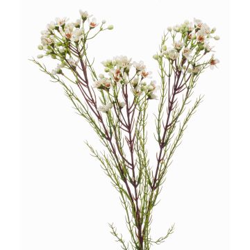 Artificial hoya flower MEDEA, cream, 31"/80cm