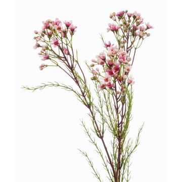Artificial hoya flower MEDEA, pink, 31"/80cm