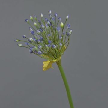 Artificial ornamental allium KATYNA, blue, 28"/70cm