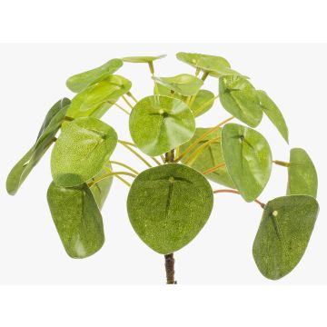 Artificial pancake plant SYBIL, spike, green, 5"/13cm