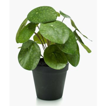 Artificial pancake plant SYBIL, green, 8"/20cm