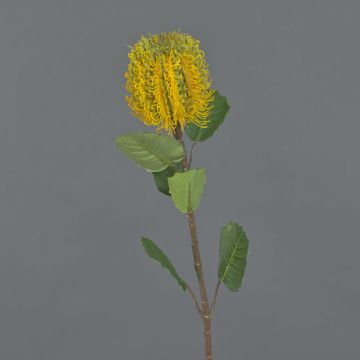 Textile flower Banksia CONAKIR, yellow, 22"/55cm Textile flower Banksia CONAKIR, yellow, 22"/55cm