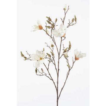 Fake magnolia CAELO, cream, 3ft/105cm Fake magnolia CAELO, cream, 3ft/105cm