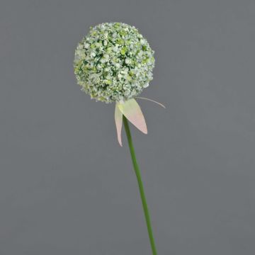 Artificial Allium flower DURBAN, white, 28"/70cm