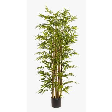 Artificial bamboo plant HIKITO, real stems, 175cm