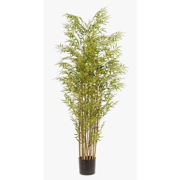 Artificial Bamboo SATOKO, Real Stems, 180cm