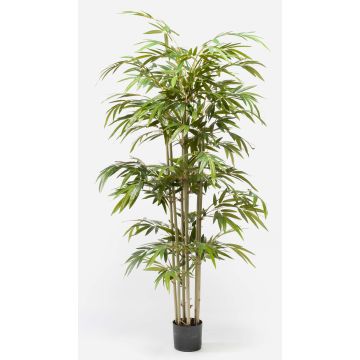 Artificial bamboo TAMANE, natural trunks, 6ft/180cm Artificial bamboo TAMANE, natural trunks, 6ft/180cm