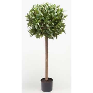 Artificial Cherry Laurel Ball DRODY, natural trunk, fruits, 3ft/90cm Artificial Cherry Laurel Ball DRODY, natural trunk, fruits, 3ft/90cm