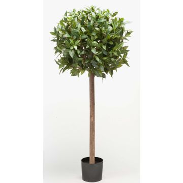 Artificial Cherry Laurel Ball DRODY, natural trunk, fruits, 4ft/120cm