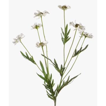 Textile flower daisy LASAI, cream, 30"/75cm