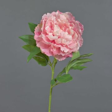 Silk peony DIVIN, pink, 26"/65cm