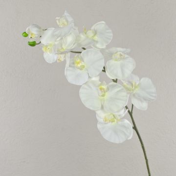 Artificial Phalaenopsis orchid branch ANAT, cream, 3ft/100cm