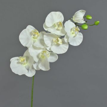 Artificial Phalaenopsis orchid branch BASTET, white, 31"/80cm Artificial Phalaenopsis orchid branch BASTET, white, 31"/80cm