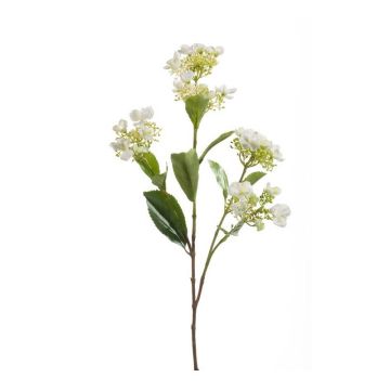 Fake hydrangea ALAZNE, cream, 30"/75cm Fake hydrangea ALAZNE, cream, 30"/75cm