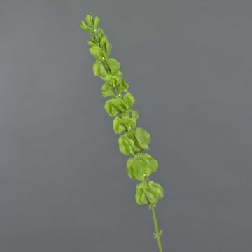 Textile flower Bells of Ireland SIERA, green, 31"/80cm Textile flower Bells of Ireland SIERA, green, 31"/80cm