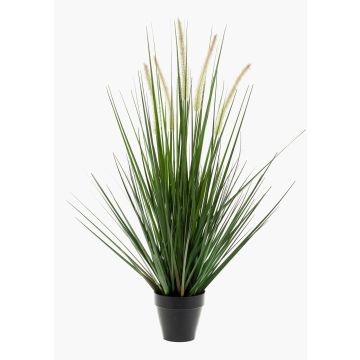 Decorative Foxtail grass OTIS with panicles, green, 28"/70cm