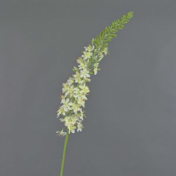 Textile flower foxtail lily AOMORI, cream, 3ft/105cm