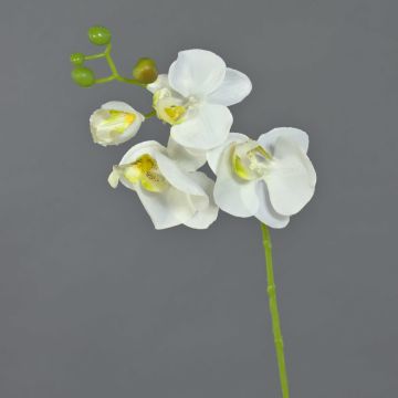 Decorative Phalaenopsis orchid branch MINA, white, 22"/55cm
