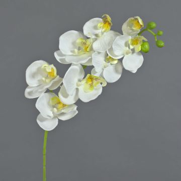 Decorative Phalaenopsis orchid branch MINA, white, 28"/70cm Decorative Phalaenopsis orchid branch MINA, white, 28"/70cm