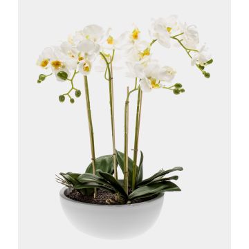 Artificial Phalaenopsis orchid MINA in a ceramic pot, white, 60cm Artificial Phalaenopsis orchid MINA in a ceramic pot, white, 60cm